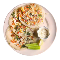 paneer_Uttapam_-removebg-preview